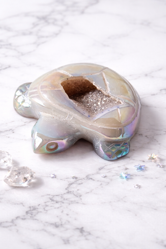 Tortue Agate Aqua Aura