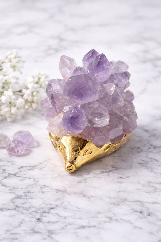 Hérisson Améthyste